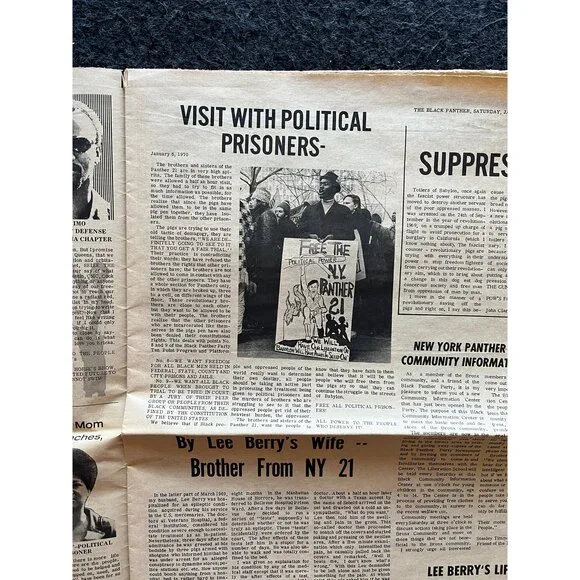 1971 Affordable Housing Black Panther Political Party, Black Excellence, Civil
